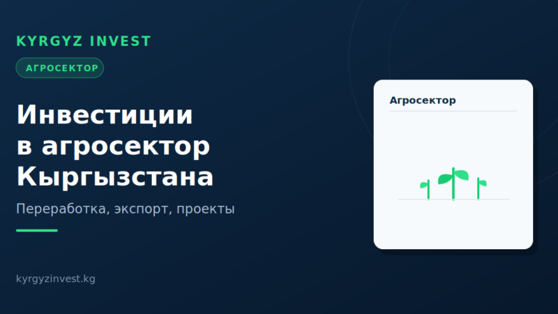 Инвестиции в агросектор Кыргызстана: экспорт и проекты