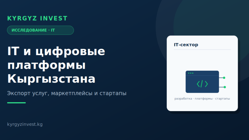 IT и цифровые платформы Кыргызстана: рынок и проекты