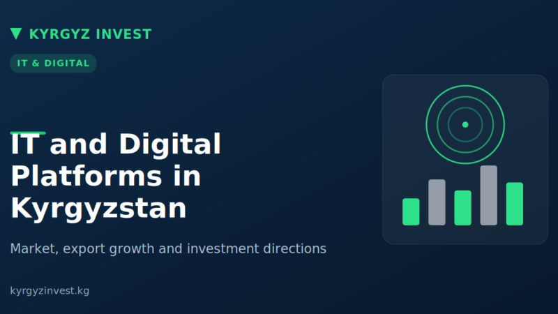 Kyrgyz Invest cover: IT and digital platforms in Kyrgyzstan
