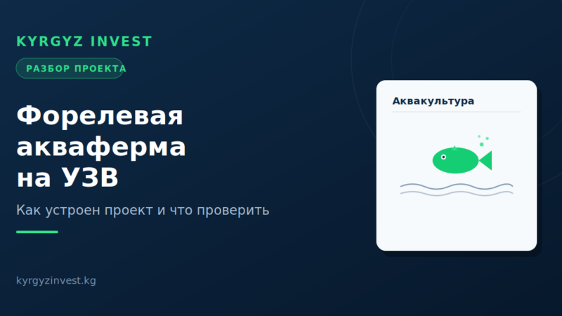 Кейс: форелевая акваферма на УЗВ