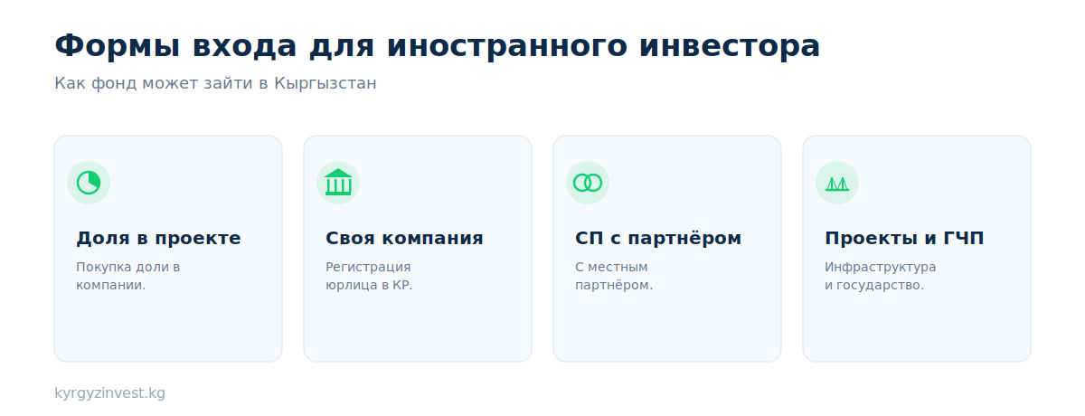 Как иностранному фонду зайти в Кыргызстан: формы входа и шаги