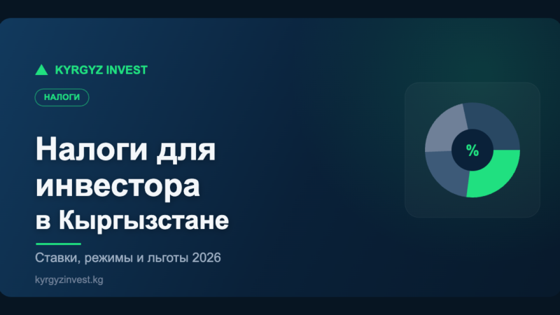 Kyrgyz Invest: налоги для инвестора в Кыргызстане, ставки и льготы 2026